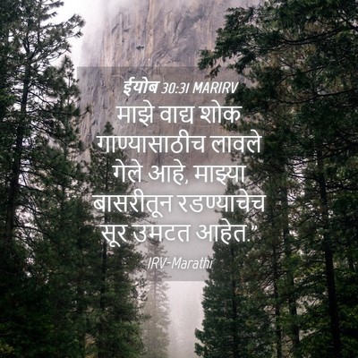Picture 04 - ईयोब 30:31 MARIRV - माझे वाद्य शोक - Bible Verse Picture