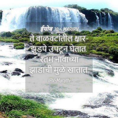 Picture 04 - ईयोब 30:4 MARIRV - ते वाळवटांतील - Bible Verse Picture