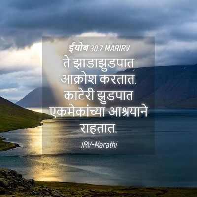 Picture 04 - ईयोब 30:7 MARIRV - ते झाडाझुडपात - Bible Verse Picture