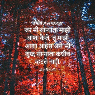 Picture 04 - ईयोब 31:24 MARIRV - जर मी सोन्याला - Bible Verse Picture