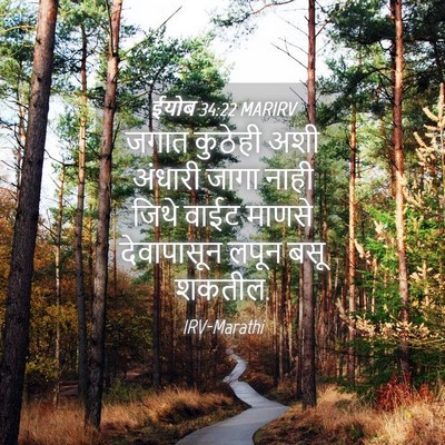 Picture 04 - ईयोब 34:22 MARIRV - जगात कुठेही अशी - Bible Verse Picture