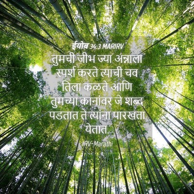 Picture 04 - ईयोब 34:3 MARIRV - तुमची जीभ ज्या - Bible Verse Picture