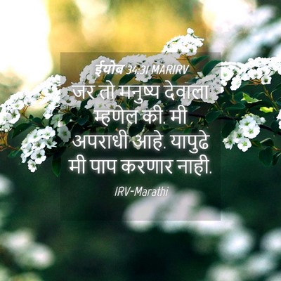 Picture 04 - ईयोब 34:31 MARIRV - जर तो मनुष्य - Bible Verse Picture