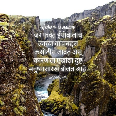 Picture 04 - ईयोब 34:36 MARIRV - जर फक्त ईयोबालाच - Bible Verse Picture
