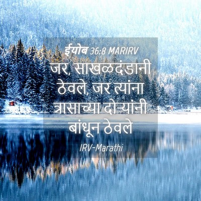 Picture 04 - ईयोब 36:8 MARIRV - जर, साखळदंडानी - Bible Verse Picture