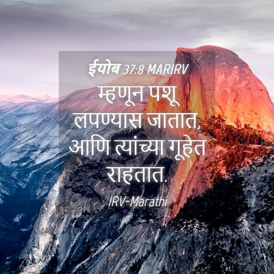 Picture 04 - ईयोब 37:8 MARIRV - म्हणून पशू - Bible Verse Picture