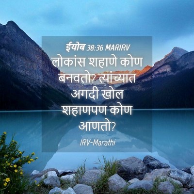 Picture 04 - ईयोब 38:36 MARIRV - लोकांस शहाणे कोण - Bible Verse Picture