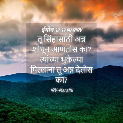 Picture 04 - ईयोब 38:39 MARIRV - तू सिंहासाठी अन्न - Bible Verse Picture