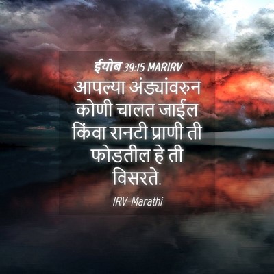 Picture 04 - ईयोब 39:15 MARIRV - आपल्या - Bible Verse Picture
