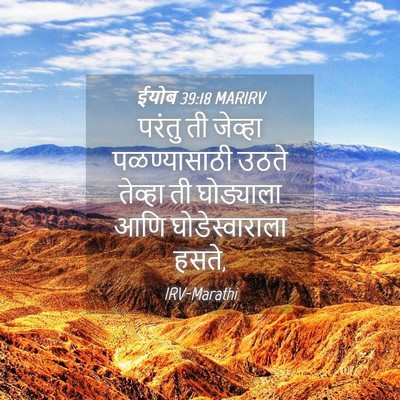 Picture 04 - ईयोब 39:18 MARIRV - परंतु ती जेव्हा - Bible Verse Picture