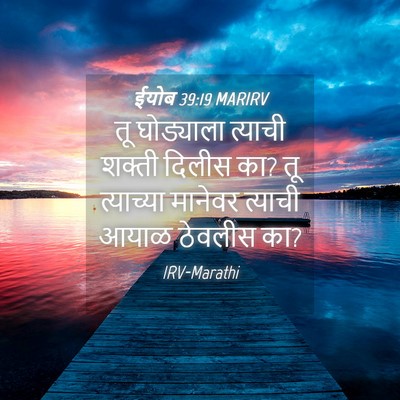 Picture 04 - ईयोब 39:19 MARIRV - तू घोड्याला - Bible Verse Picture