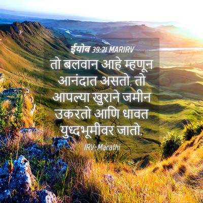 Picture 04 - ईयोब 39:21 MARIRV - तो बलवान आहे - Bible Verse Picture
