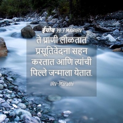 Picture 04 - ईयोब 39:3 MARIRV - ते प्राणी लोळतात - Bible Verse Picture