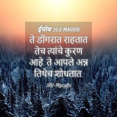 Picture 04 - ईयोब 39:8 MARIRV - ते डोंगरात राहतात - Bible Verse Picture