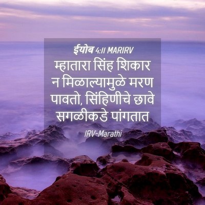 Picture 04 - ईयोब 4:11 MARIRV - म्हातारा सिंह - Bible Verse Picture