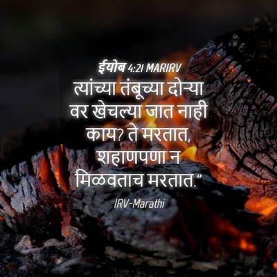 Picture 04 - ईयोब 4:21 MARIRV - त्यांच्या - Bible Verse Picture