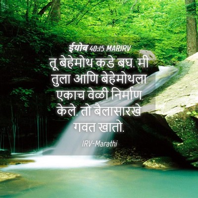Picture 04 - ईयोब 40:15 MARIRV - तू बेहेमोथ कडे बघ. - Bible Verse Picture
