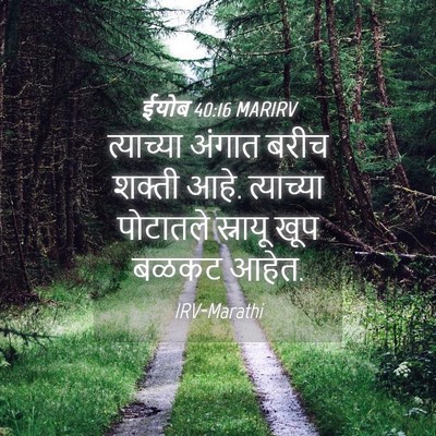 Picture 04 - ईयोब 40:16 MARIRV - त्याच्या अंगात - Bible Verse Picture