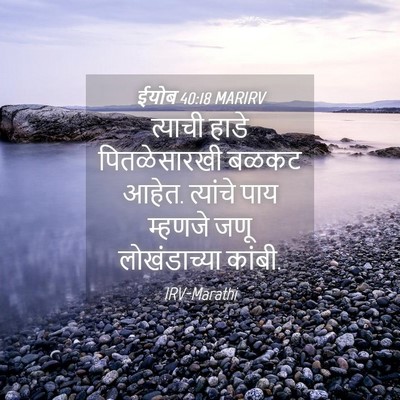 Picture 04 - ईयोब 40:18 MARIRV - त्याची हाडे - Bible Verse Picture