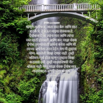 Picture 04 - ईयोब 42:8 MARIRV - म्हणून अलीफज, आता - Bible Verse Picture