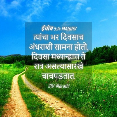 Picture 04 - ईयोब 5:14 MARIRV - त्यांचा भर दिवसाच - Bible Verse Picture