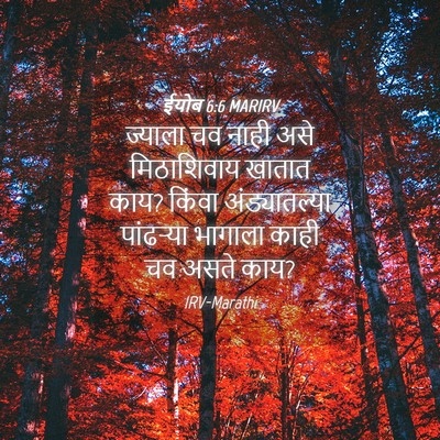 Picture 04 - ईयोब 6:6 MARIRV - ज्याला चव नाही असे - Bible Verse Picture