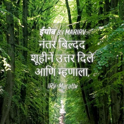 Picture 04 - ईयोब 8:1 MARIRV - नंतर बिल्दद - Bible Verse Picture