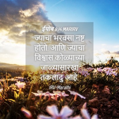 Picture 04 - ईयोब 8:14 MARIRV - ज्याचा भरवसा नष्ट - Bible Verse Picture