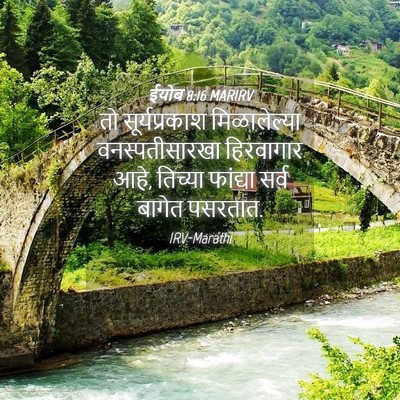 Picture 04 - ईयोब 8:16 MARIRV - तो सूर्यप्रकाश - Bible Verse Picture