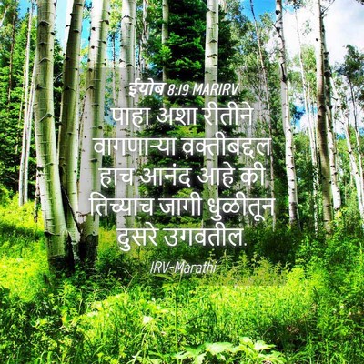 Picture 04 - ईयोब 8:19 MARIRV - पाहा अशा रीतीने - Bible Verse Picture