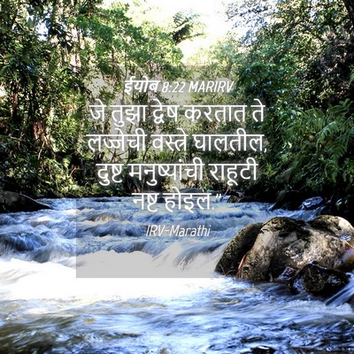 Picture 04 - ईयोब 8:22 MARIRV - जे तुझा द्वेष - Bible Verse Picture