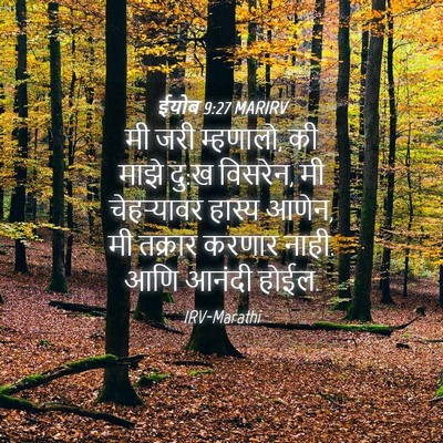 Picture 04 - ईयोब 9:27 MARIRV - मी जरी म्हणालो, की - Bible Verse Picture