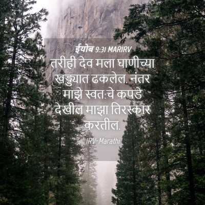 Picture 04 - ईयोब 9:31 MARIRV - तरीही देव मला - Bible Verse Picture