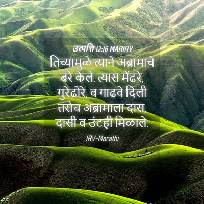 Picture 04 - उत्पत्ति 12:16 MARIRV - तिच्यामुळे त्याने - Bible Verse Picture