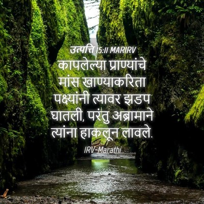 Picture 04 - उत्पत्ति 15:11 MARIRV - कापलेल्या - Bible Verse Picture