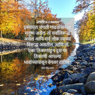 Picture 04 - उत्पत्ति 16:12 MARIRV - इश्माएल जंगली - Bible Verse Picture