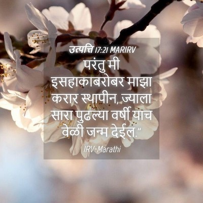 Picture 04 - उत्पत्ति 17:21 MARIRV - परंतु मी - Bible Verse Picture