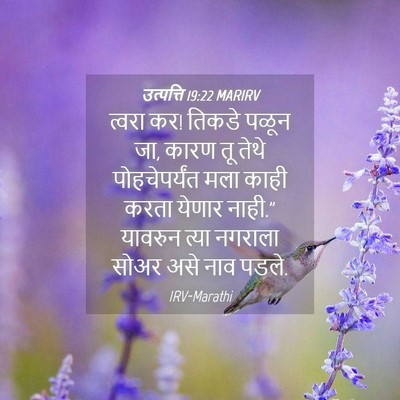Picture 04 - उत्पत्ति 19:22 MARIRV - त्वरा कर! तिकडे - Bible Verse Picture