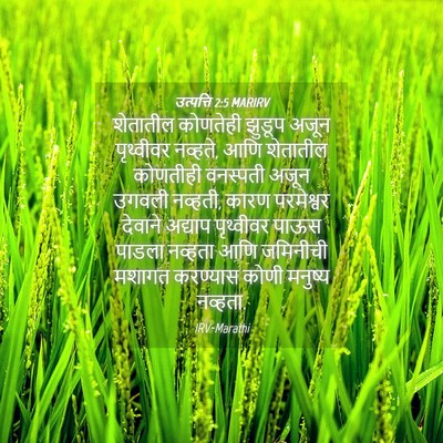 Picture 04 - उत्पत्ति 2:5 MARIRV - शेतातील कोणतेही - Bible Verse Picture