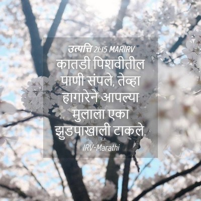 Picture 04 - उत्पत्ति 21:15 MARIRV - कातडी पिशवीतील - Bible Verse Picture