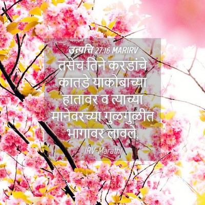 Picture 04 - उत्पत्ति 27:16 MARIRV - तसेच तिने करडांचे - Bible Verse Picture