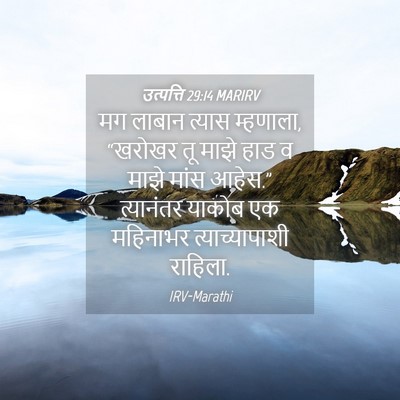 Picture 04 - उत्पत्ति 29:14 MARIRV - मग लाबान त्यास - Bible Verse Picture