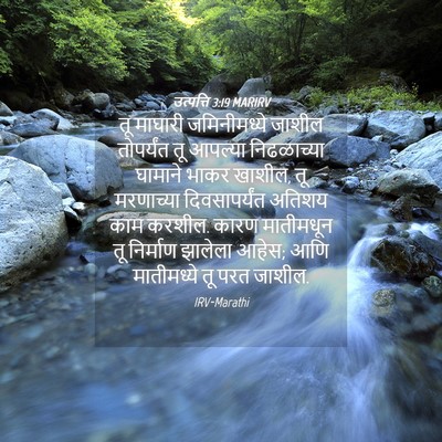 Picture 04 - उत्पत्ति 3:19 MARIRV - तू माघारी - Bible Verse Picture