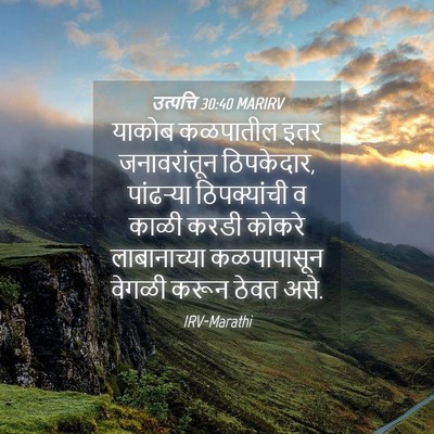 Picture 04 - उत्पत्ति 30:40 MARIRV - याकोब कळपातील इतर - Bible Verse Picture