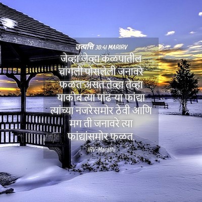 Picture 04 - उत्पत्ति 30:41 MARIRV - जेव्हा जेव्हा - Bible Verse Picture