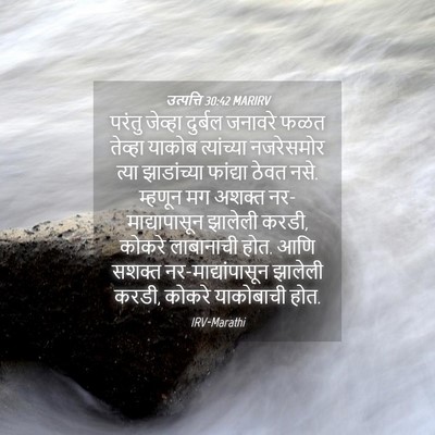 Picture 04 - उत्पत्ति 30:42 MARIRV - परंतु जेव्हा - Bible Verse Picture