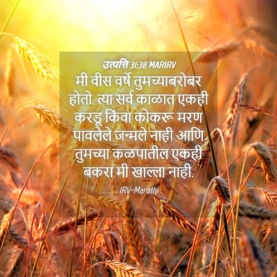 Picture 04 - उत्पत्ति 31:38 MARIRV - मी वीस वर्षे - Bible Verse Picture