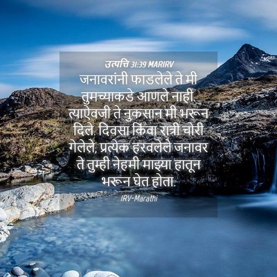 Picture 04 - उत्पत्ति 31:39 MARIRV - जनावरांनी फाडलेले - Bible Verse Picture