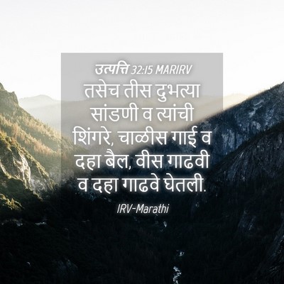 Picture 04 - उत्पत्ति 32:15 MARIRV - तसेच तीस दुभत्या - Bible Verse Picture