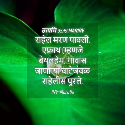Picture 04 - उत्पत्ति 35:19 MARIRV - राहेल मरण पावली. - Bible Verse Picture